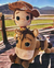 Receita Woody e Bala no Alvo Amigurumi - PDF