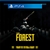 The Forest Ps4 - Pt Br - Vitalícia