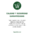 Spirulina con Clorofila | 5 Frascos de 30 Comprimidos en internet