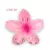 Imagem do Presilha Para Cabelo Flor Pinterest - 06 cm.
