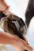 Hoof Pick na internet