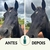 Repelente Cavalos Bye Flys Creme Ultra Protetor 300 g - 8 horas - EQUI'B | Dermocosméticos e Cuidados para Cavalos