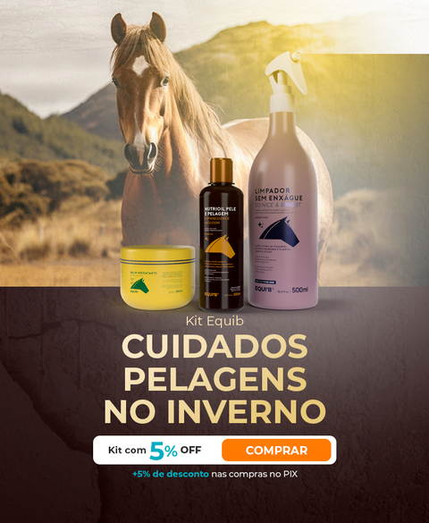 Carrossel 1