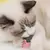 Juguete Interactivo para Gatos - comprar online