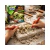 KIT DE EXCAVACION SMILODON en internet