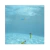 TORPEDOS SUMERGIBLES PARA PILETA SWIMWAYS en internet