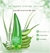 Gel Aloe Vera 99% calmante e hidratante para controle de óleo da acne pós-sol 260 ml - Disaar