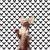 UV Sphynx fundo branco