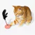 Brinquedo para gatos Teaser ZeeCat na internet