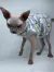 Estrelas e Nuvens em Soft Fleece