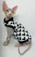 UV Sphynx fundo branco - comprar online