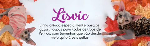 Carrossel 1