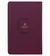 SANTA BIBLIA NVI, ULTRAFINA - IMITACION PIEL VINO - comprar online