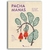 Pacha Manas: Costurando Conversas Sobre Aborto