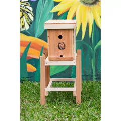 Nucleros 5 cuadros "Premium" en internet