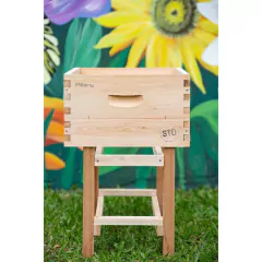 Alza St. "Premium" Pack 5U. en internet