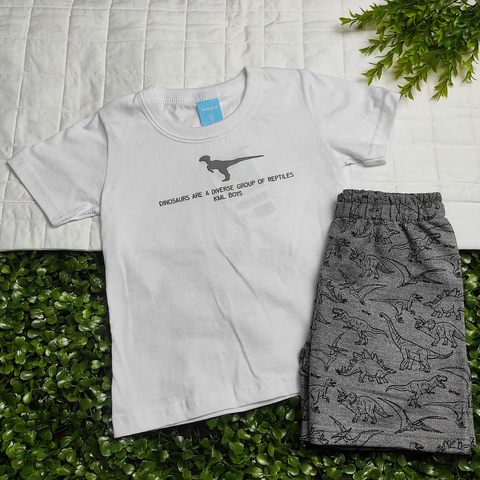 Conjunto Menino Camiseta Branca Dinossauro e Bermuda Cinza Moletinho Estampada - Kamylus
