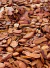 Casca de Pinus 5 Kg Polida G - comprar online