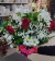 Buque 03 Rosas Celofane