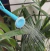 Regador Top Garden 1.5 Lt Azul Bebe na internet