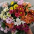 Buque 1/2 Duzia Flor do Campo - comprar online