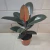 Ficus Elastica Burgundy Pt 17