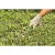 Extrator de Ervas Daninhas FJ 1007 - comprar online