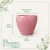 Cachepô Ceramico Hamburgo Rosa 16 na internet