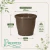 Vaso de Plástico Red Primavera 06 Marrom Avelã - Nutriplan - comprar online