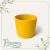 Vaso Ceramico Hanover Mostarda 16 - Japi - comprar online
