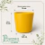 Vaso Ceramico Hanover Mostarda 16 - Japi na internet