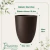 Vaso Concept Conico Café N1 - Japi - comprar online