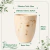 Vaso Concept Conico Travertino N1 - Japi - comprar online