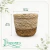 Cachepo Jessore 12cm Palha Natural na internet