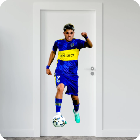 VINILO GIGANTOGRAFIA CHANGUITO ZEBALLOS BOCA