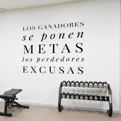 VINILO DE CORTE GYM LOS GANADORES