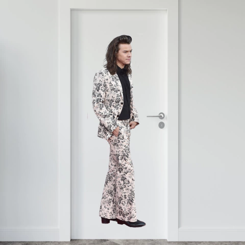 VINILO GIGANTOGRAFIA HARRY STYLES MODELO 6