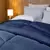 Coberdron Casal Winter Lavive 220x240 cm Com Sherpa Marinho - comprar online