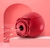 Vibrador Flor Sugadora Recarregável na internet