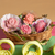 Molde Ejetor Max Rosas - loja online