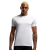 CAMISETA OLYMPIKUS BASIC LOGO MC M - comprar online
