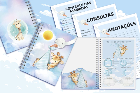 Caderneta de Saúde Girafinha Menino