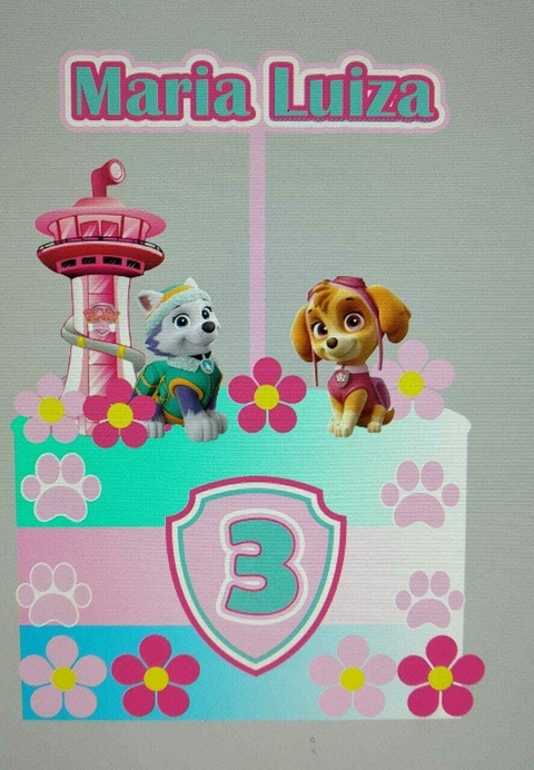 Skye e Everest - Topo de Bolo