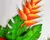Heliconia e Folhagem Tropical na internet