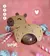Porta Doces Capivara - comprar online