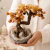 Árvore da Vida de Cornalina Natural – Vitalidade, Coragem e Criatividade - Preciosidades Naturais | Cristais Naturais Selecionados com Energia e Intenção