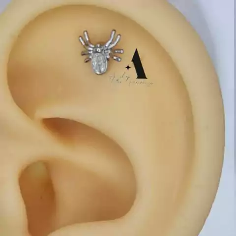 Labret aranha banhado a rodio B0426