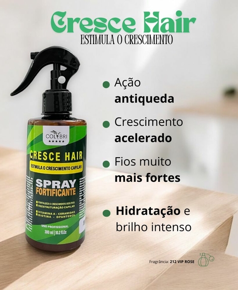Carrossel 1