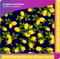 Tecido Oxfordine Estampado - Frutas 2033743140601 - comprar online