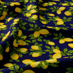 Tecido Oxfordine Estampado - Frutas 2052564877503